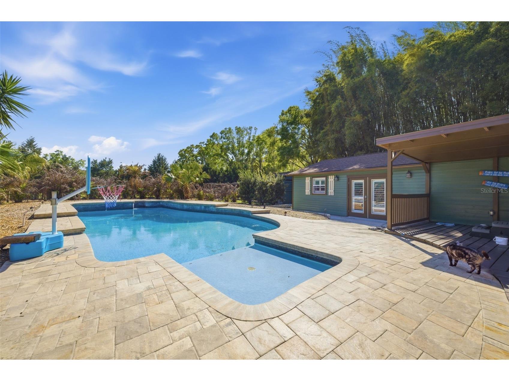 3752 Old Keystone Road Tarpon Springs FL 34688 TB8461683 image42