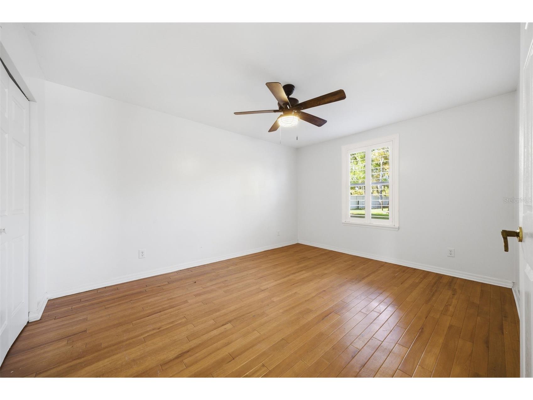 3752 Old Keystone Road Tarpon Springs FL 34688 TB8461683 image52