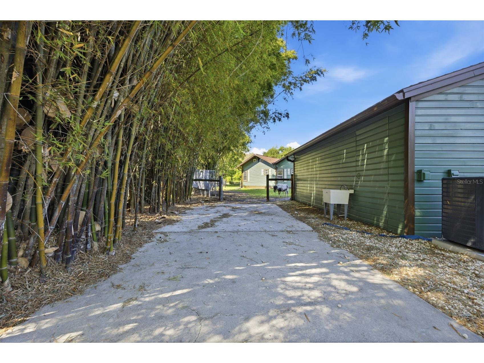 3752 Old Keystone Road Tarpon Springs FL 34688 TB8461683 image55