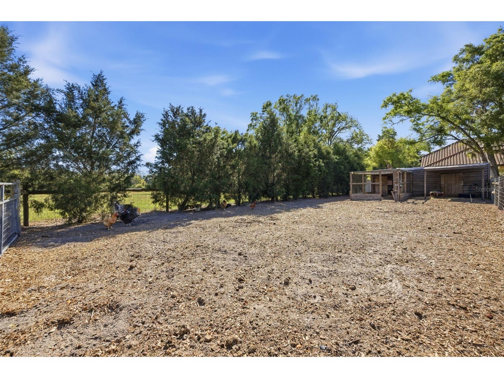 3752 Old Keystone Road Tarpon Springs FL 34688 TB8461683 image65