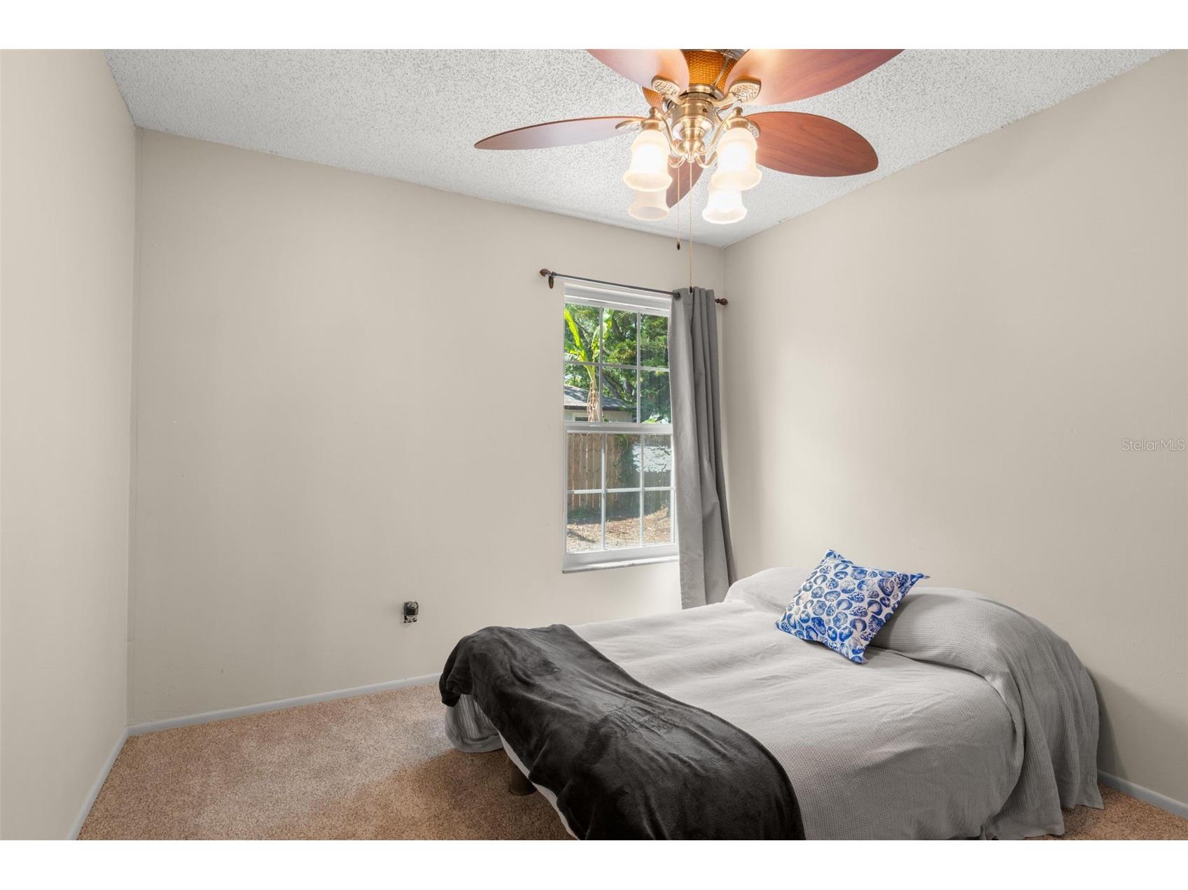 3753 Mackenzie Court Palm Harbor FL 34684 TB8498132 image24