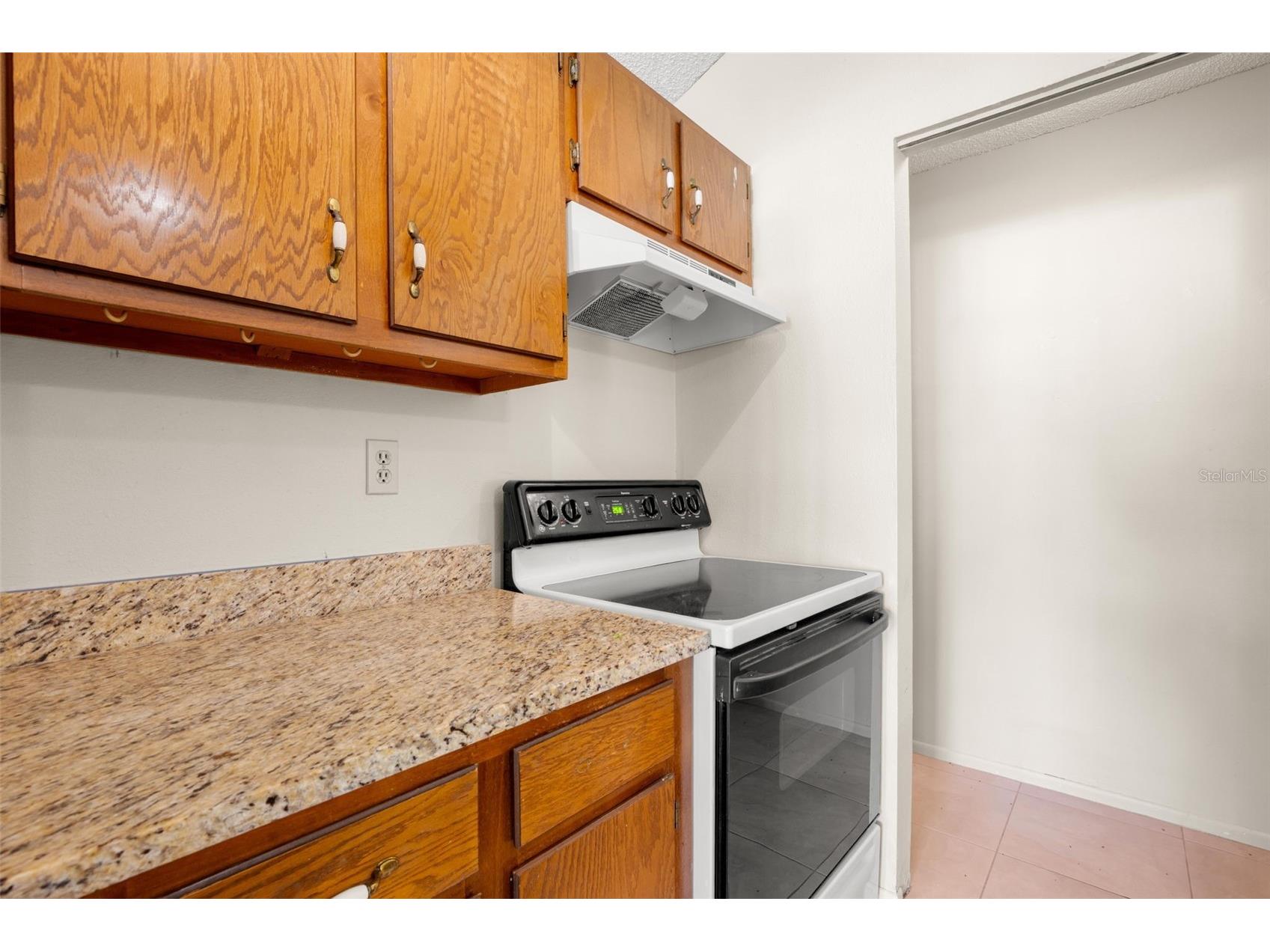 3753 Mackenzie Court Palm Harbor FL 34684 TB8498132 image31