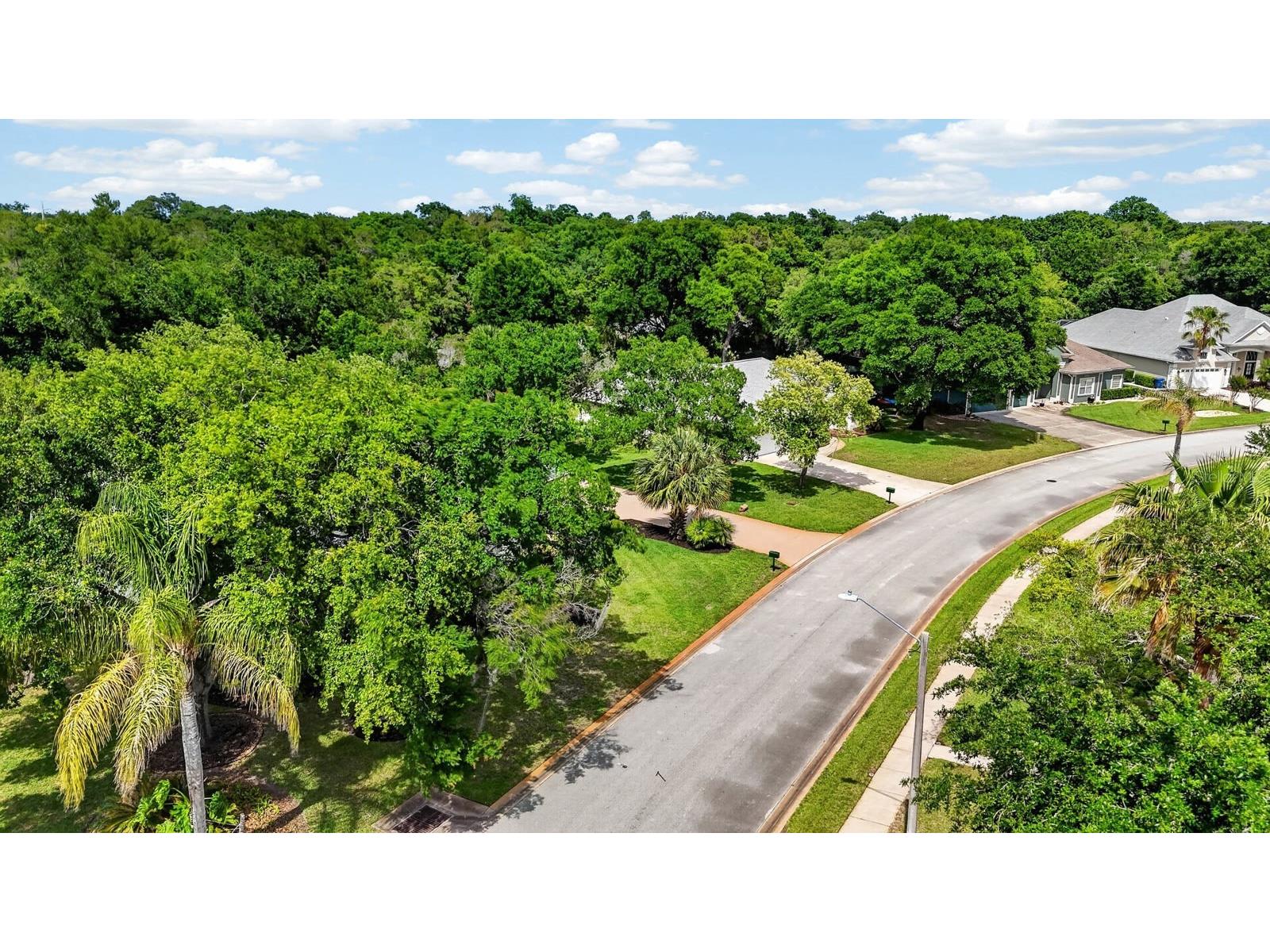 3753 Mayo Circle Ormond Beach FL 32174 FC318362 image61