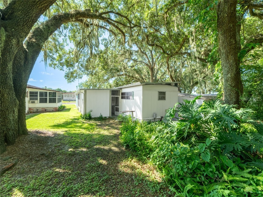 3753 Muller Drive Zephyrhills FL 33540 TB8401096 image24