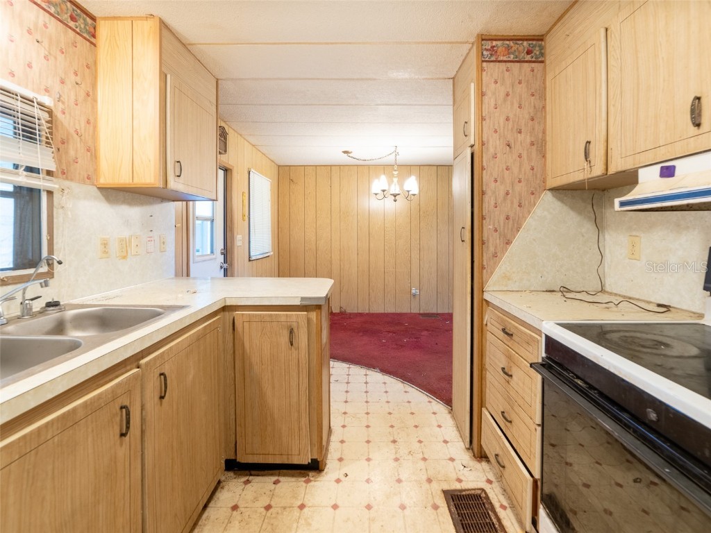 3753 Muller Drive Zephyrhills FL 33540 TB8401096 image8