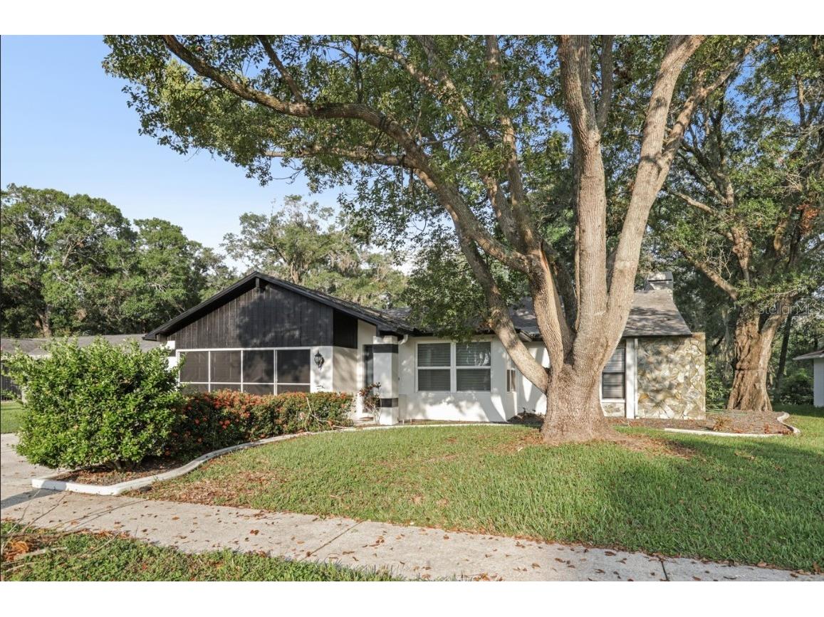 3753 Thornbush Lane New Port Richey FL 34655 TB8397866 image1