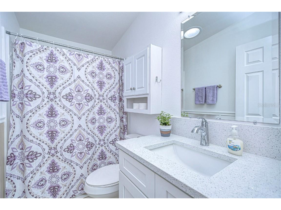 37530 Corey Lewis Avenue Zephyrhills FL 33541 TB8361730 image28