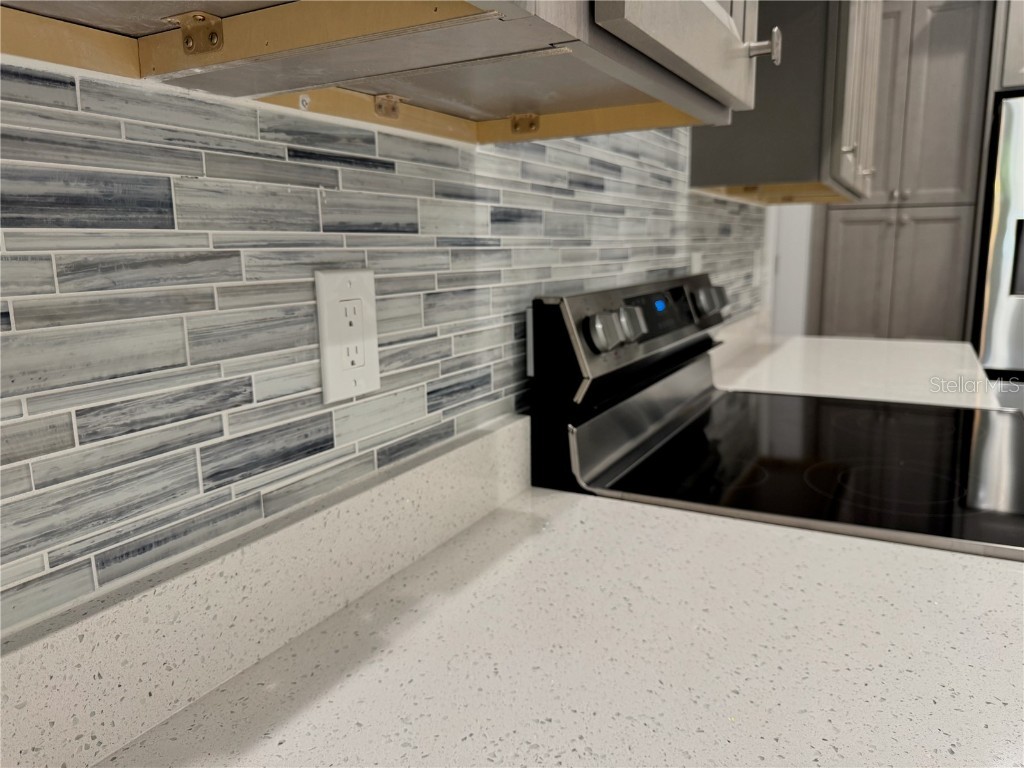 37533 Teri Court Dade City FL 33525 TB8379684 image34