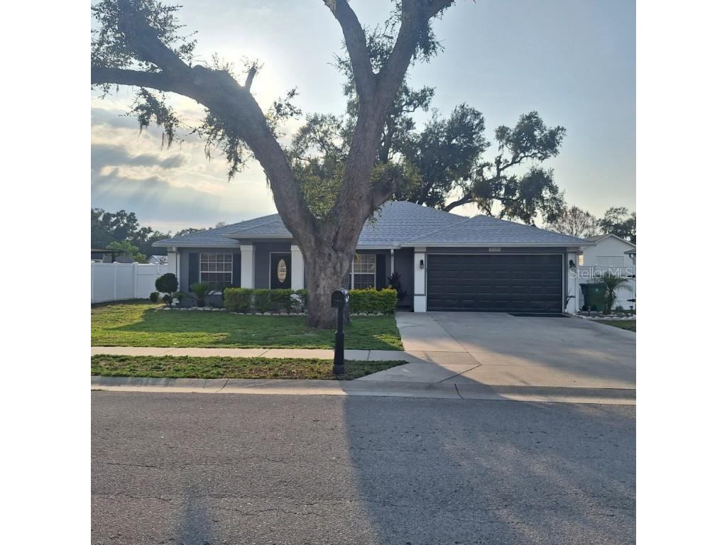 37535 Laurel Hammock Drive Zephyrhills FL 33541 TB8384771 image1