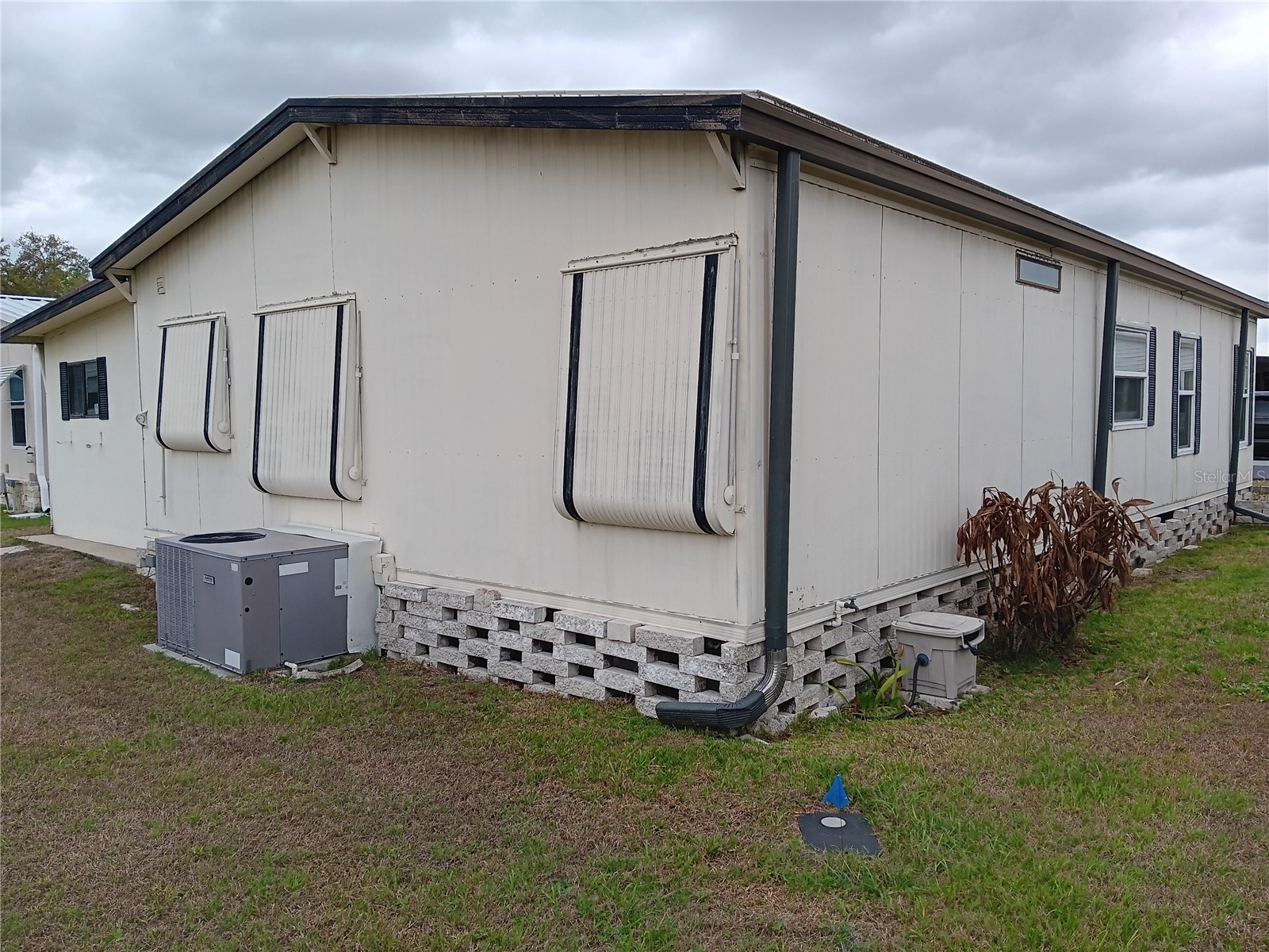 37536 Amigo Drive Zephyrhills FL 33541 TB8483857 image3