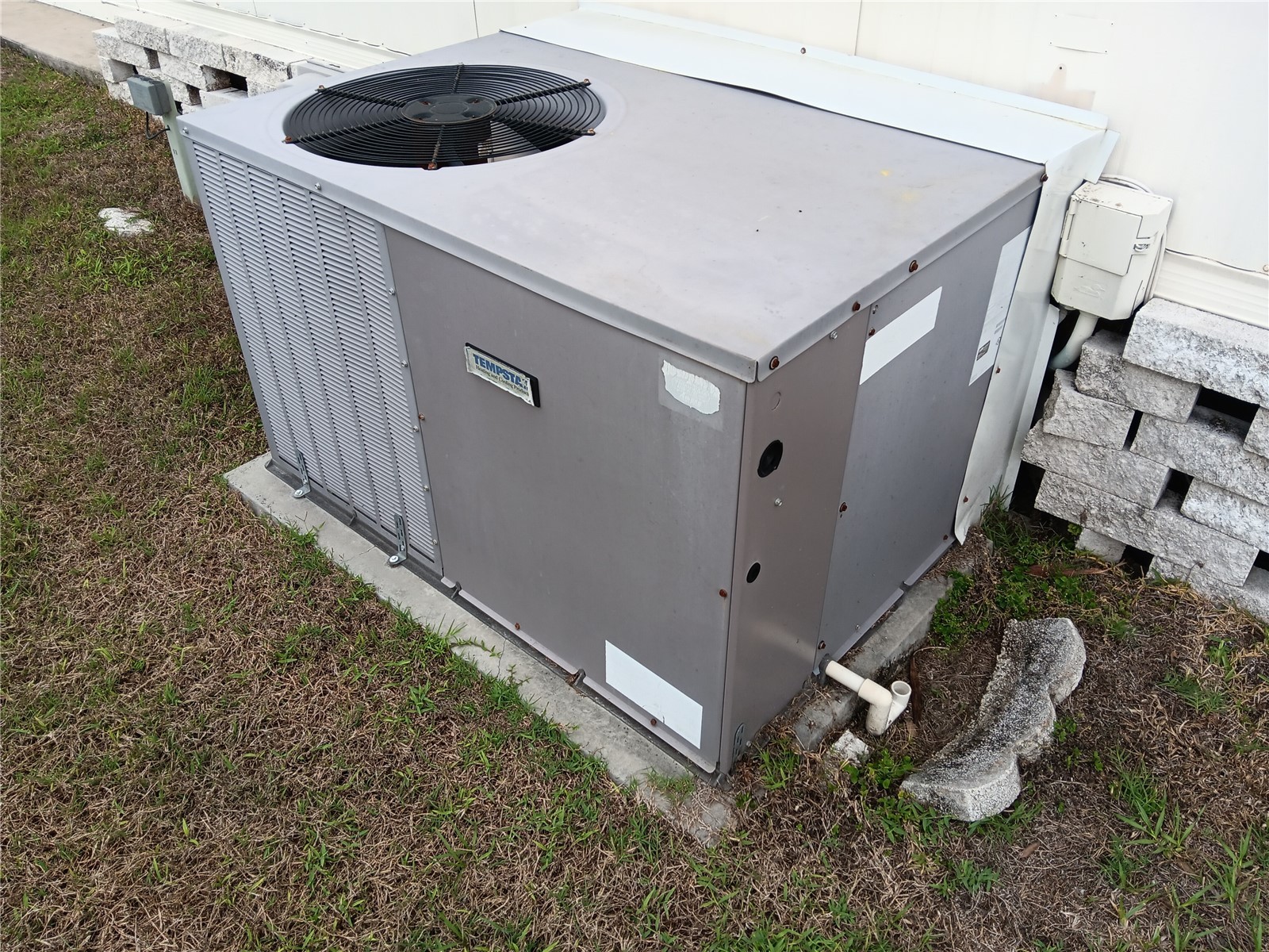 37536 Amigo Drive Zephyrhills FL 33541 TB8483857 image4