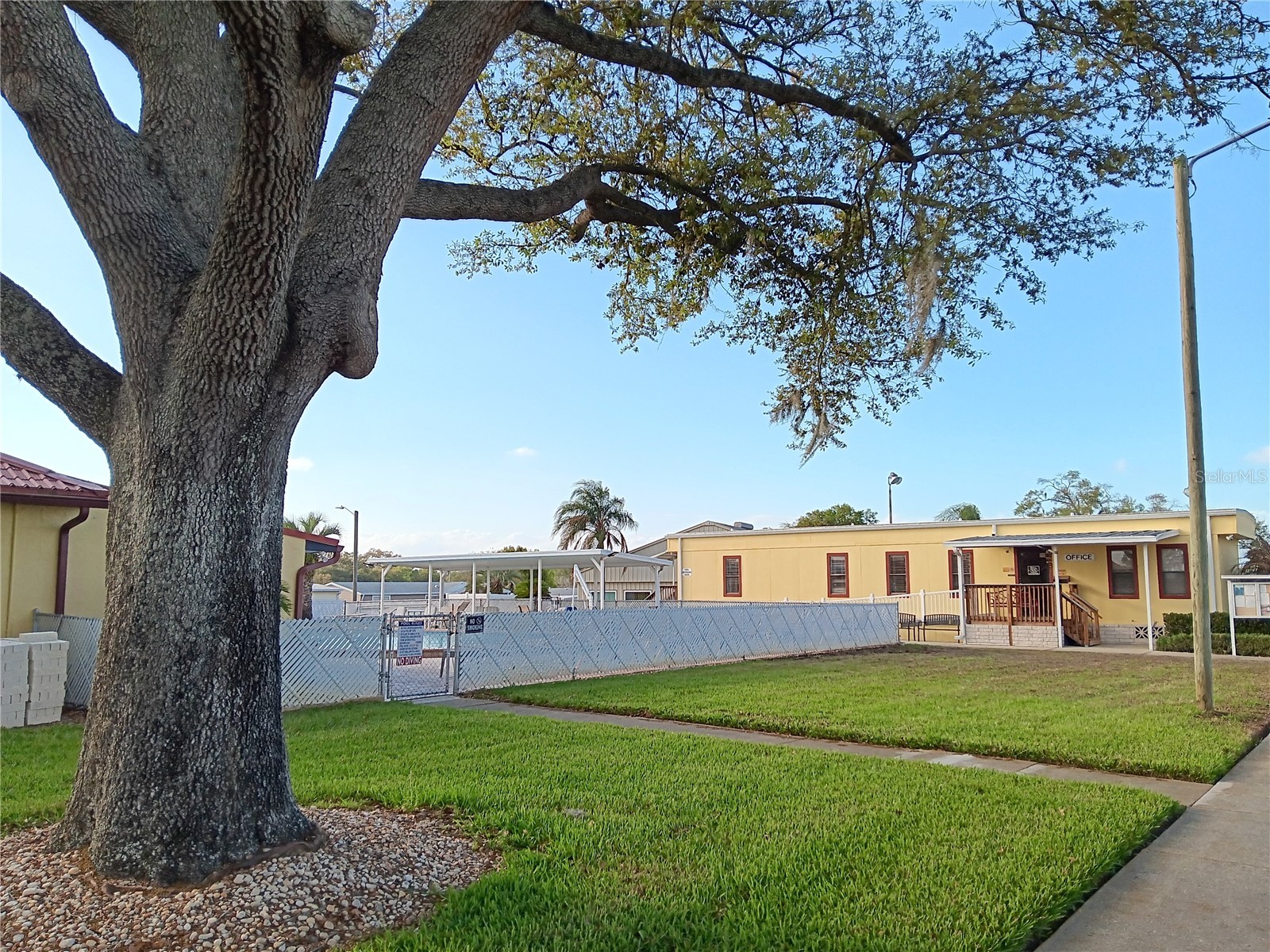 37536 Amigo Drive Zephyrhills FL 33541 TB8483857 image41