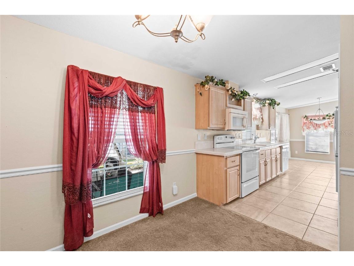 37536 Gill Avenue Zephyrhills FL 33541 TB8457810 image11