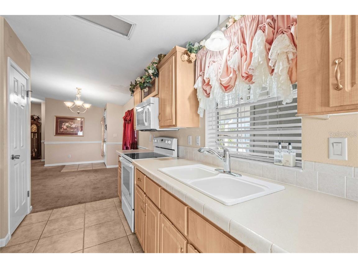 37536 Gill Avenue Zephyrhills FL 33541 TB8457810 image14