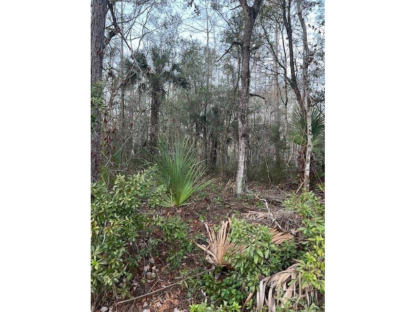 3754 Cranberry Avenue Bunnell FL 32110 FC305910 image1