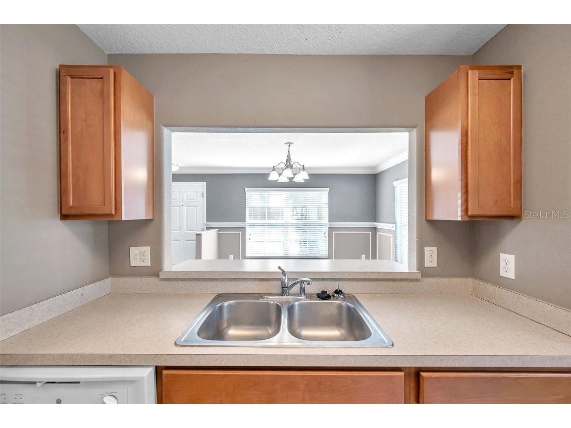 37540 Daliha Terrace Zephyrhills FL 33542 TB8423980 image20