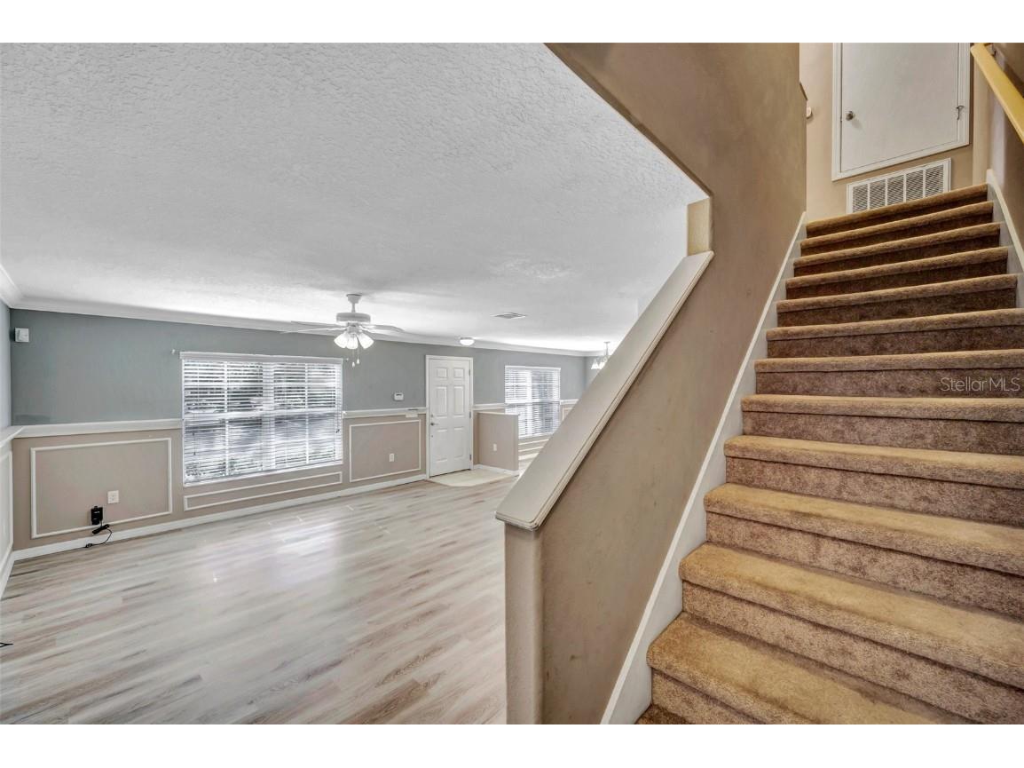 37540 Daliha Terrace Zephyrhills FL 33542 TB8423980 image21