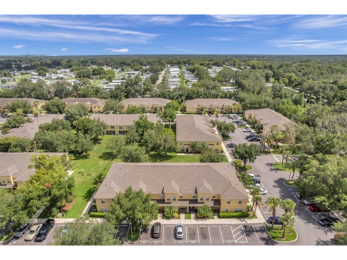 37540 Daliha Terrace Zephyrhills FL 33542 TB8423980 image40