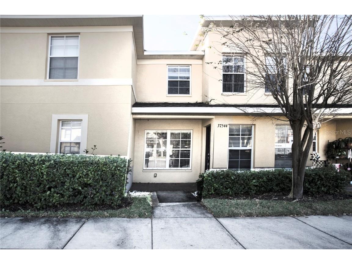37544 Aaralyn Road Zephyrhills FL 33542 T3469017 image1