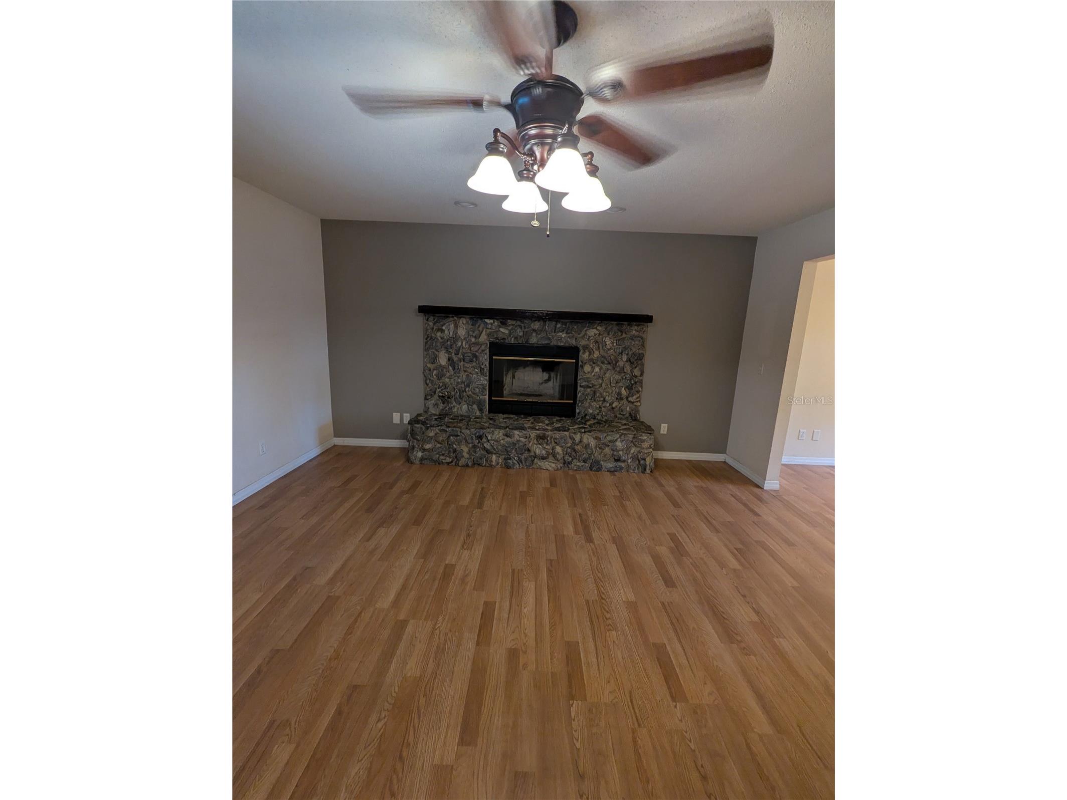 37544 Tucker Road Zephyrhills FL 33541 TB8500604 image20