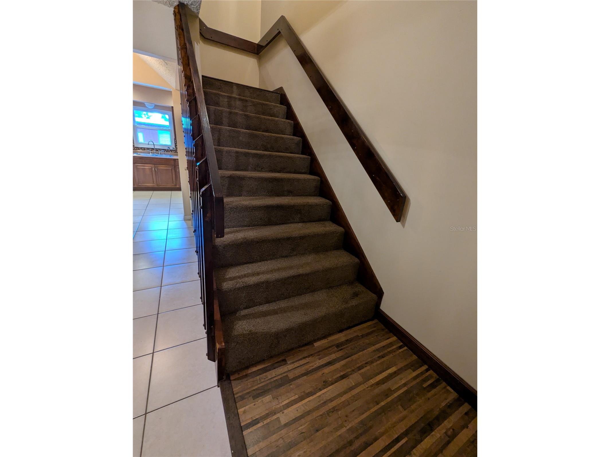 37544 Tucker Road Zephyrhills FL 33541 TB8500604 image24