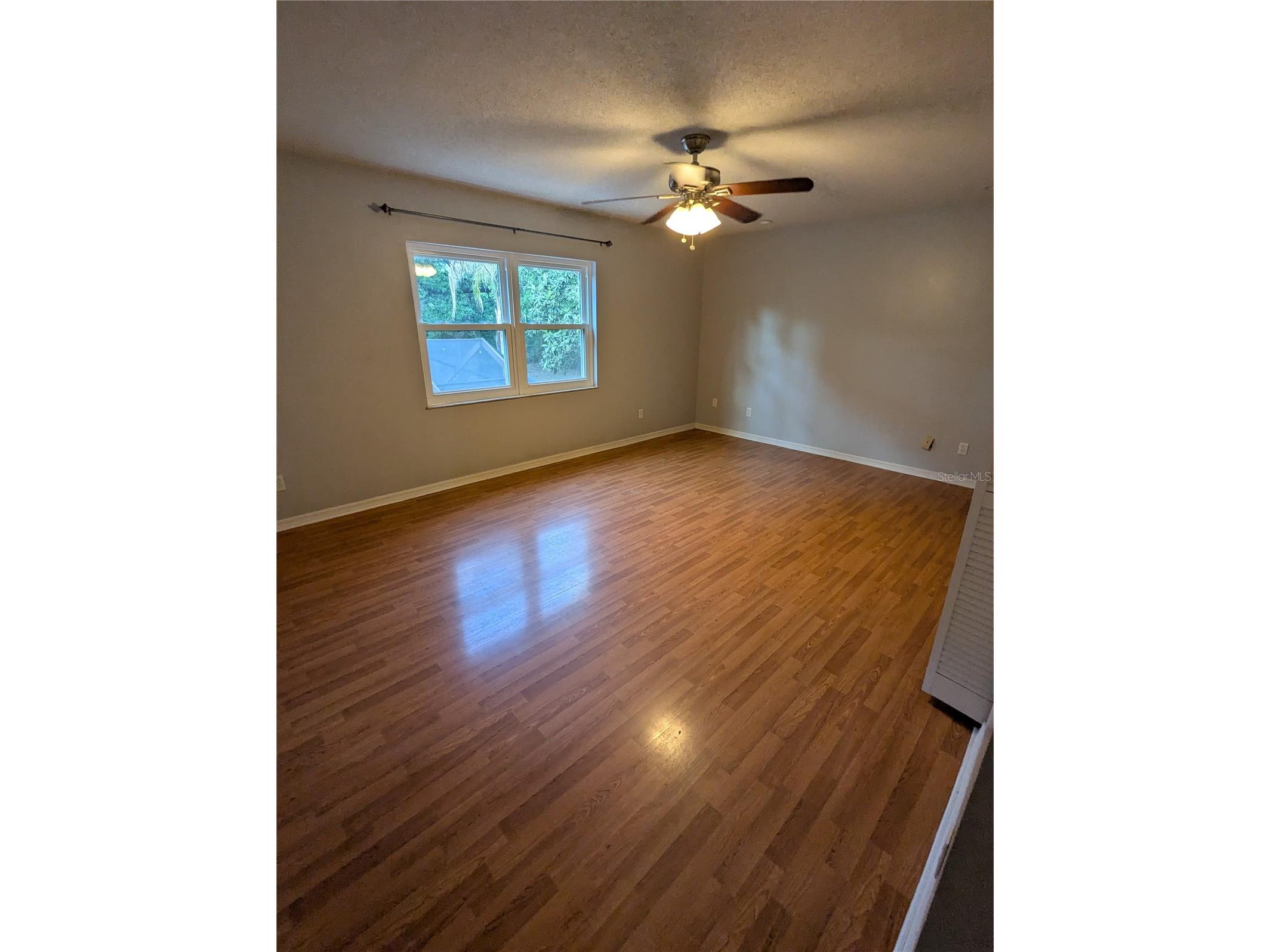 37544 Tucker Road Zephyrhills FL 33541 TB8500604 image28
