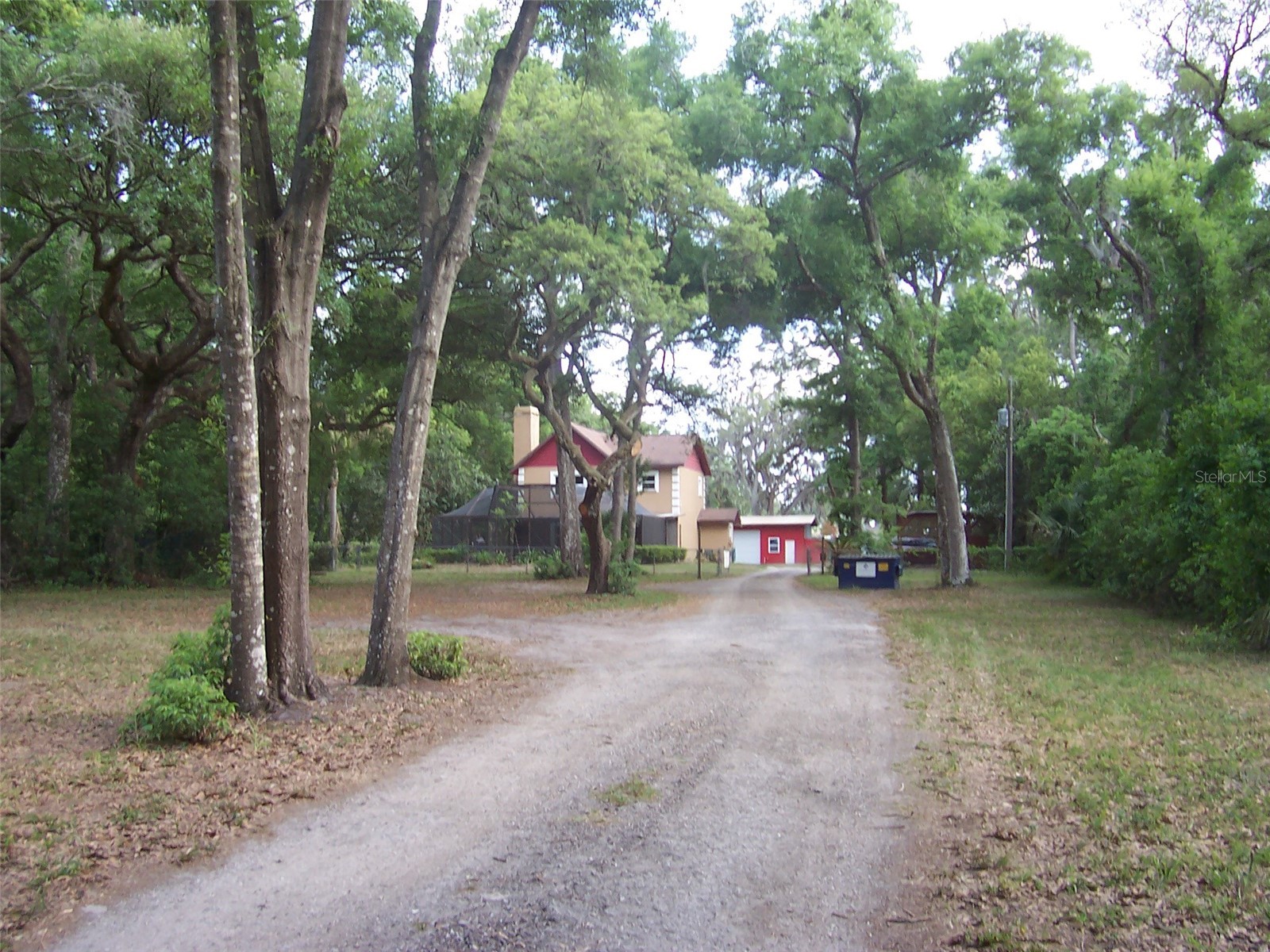 37544 Tucker Road Zephyrhills FL 33541 TB8500604 image5