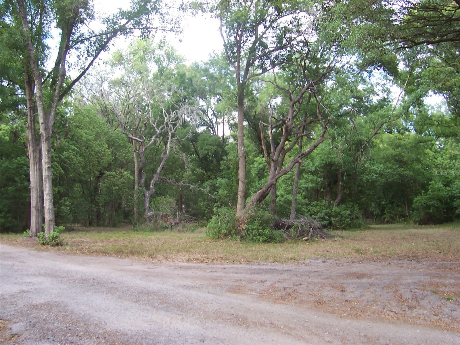 37544 Tucker Road Zephyrhills FL 33541 TB8500604 image6