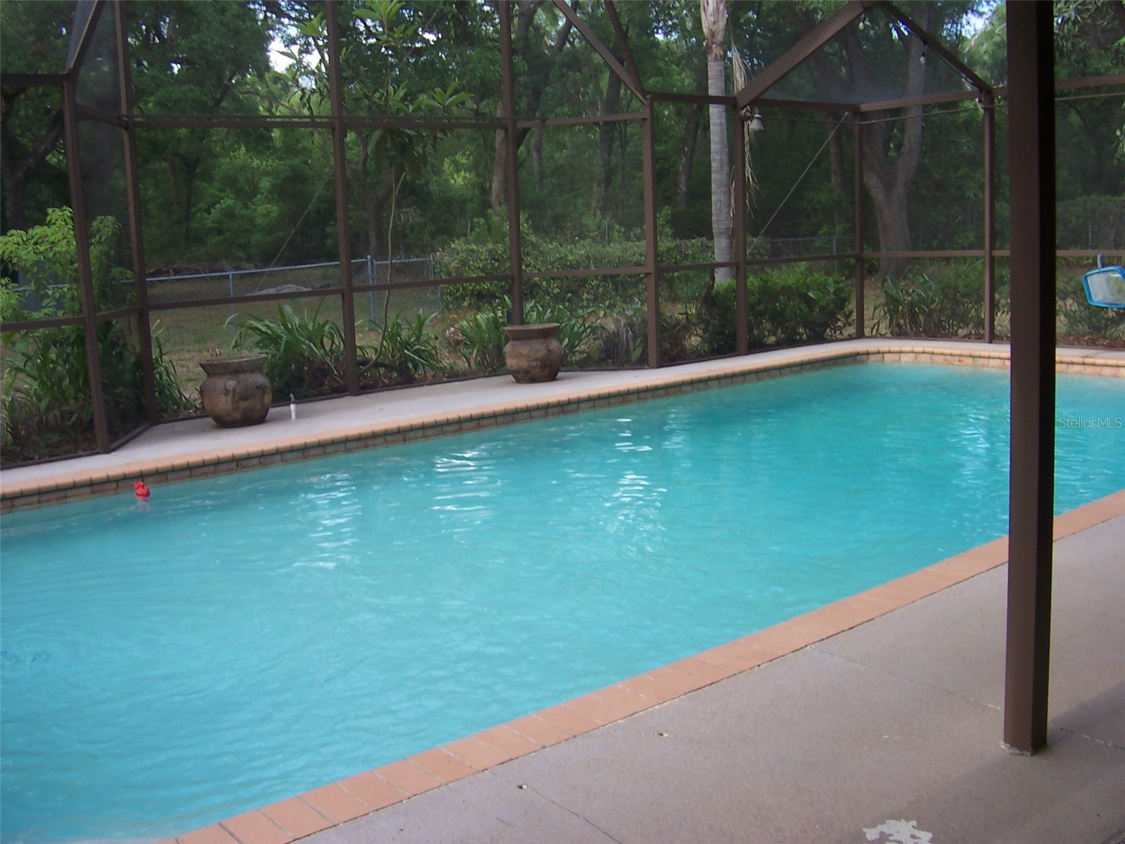 37544 Tucker Road Zephyrhills FL 33541 TB8500604 image7