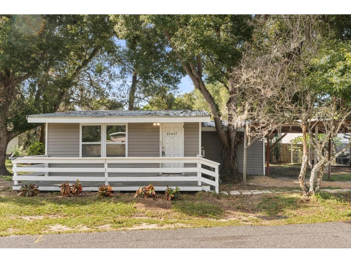 37547 Washington Avenue #6 Umatilla FL 32784 G5104350 image2