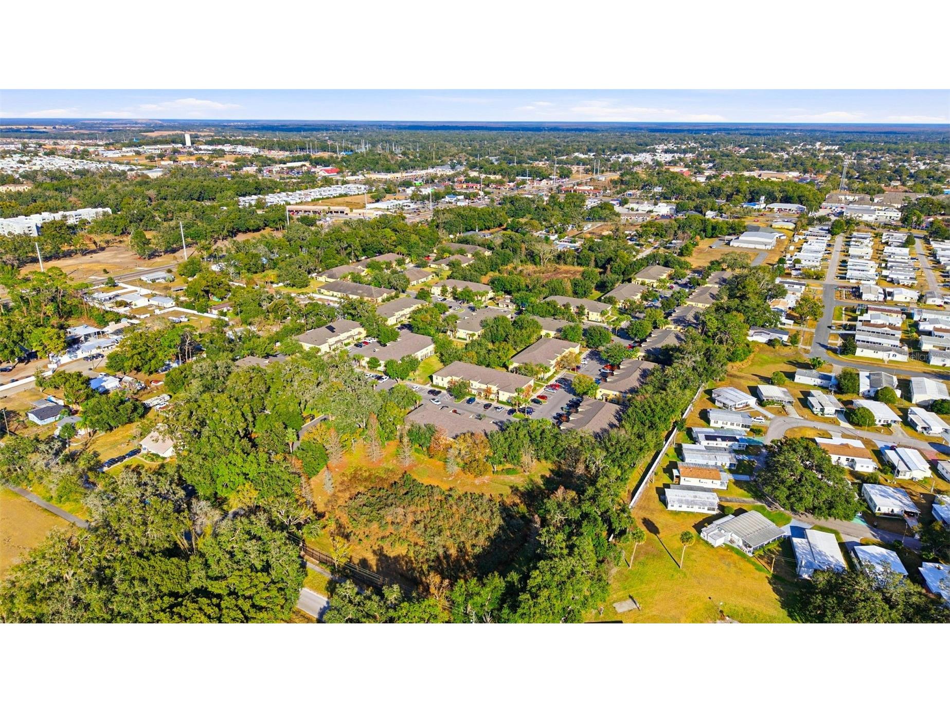 37548 Daliha Terrace Zephyrhills FL 33542 TB8467660 image2