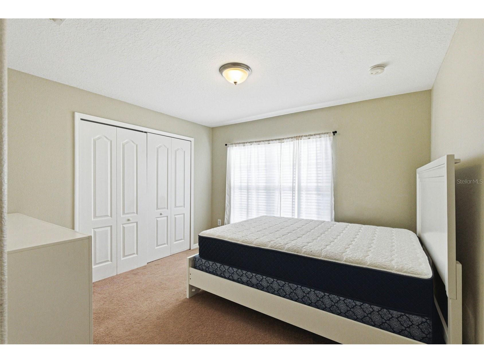 37548 Daliha Terrace Zephyrhills FL 33542 TB8467660 image24