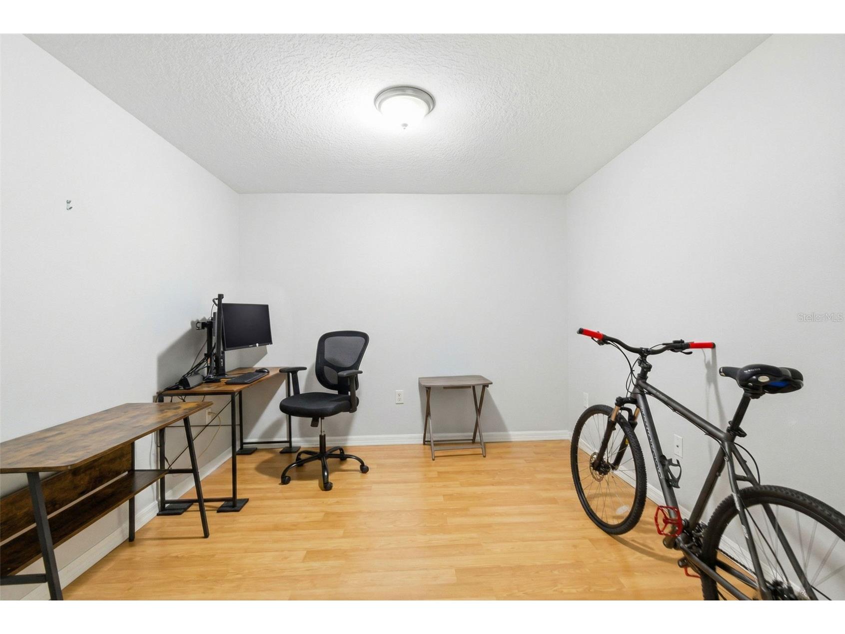 37548 Daliha Terrace Zephyrhills FL 33542 TB8467660 image28