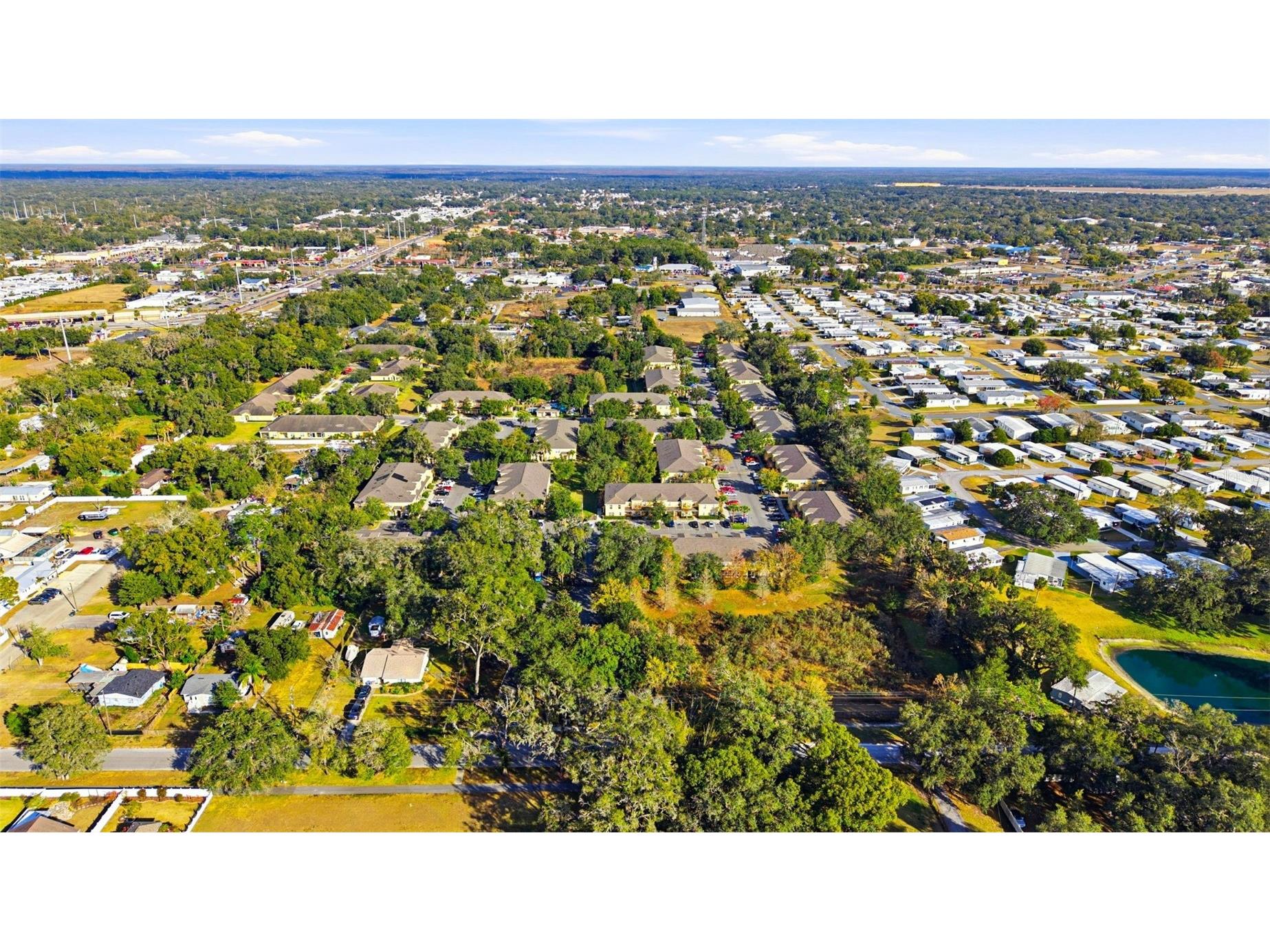 37548 Daliha Terrace Zephyrhills FL 33542 TB8467660 image3