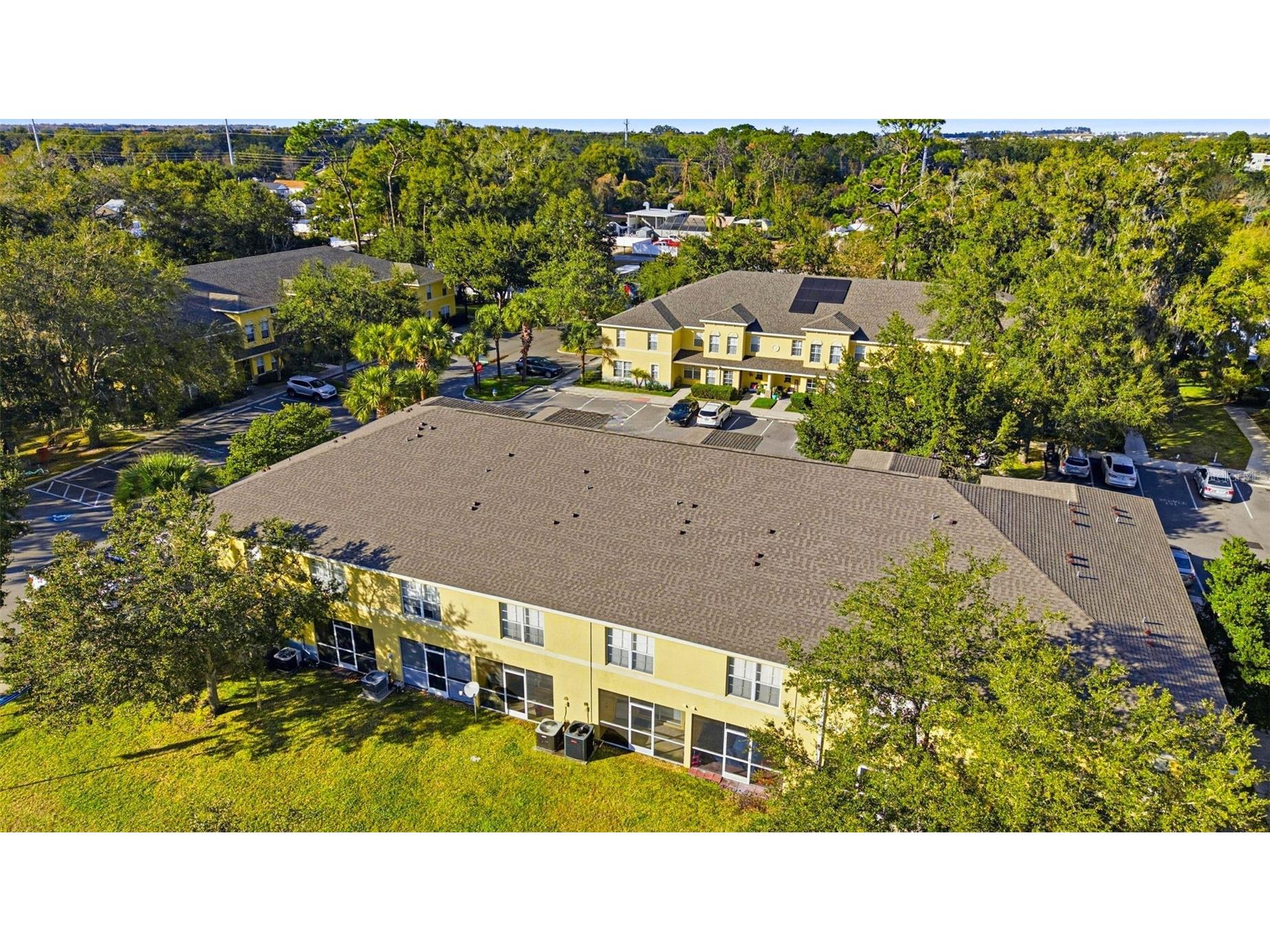 37548 Daliha Terrace Zephyrhills FL 33542 TB8467660 image4