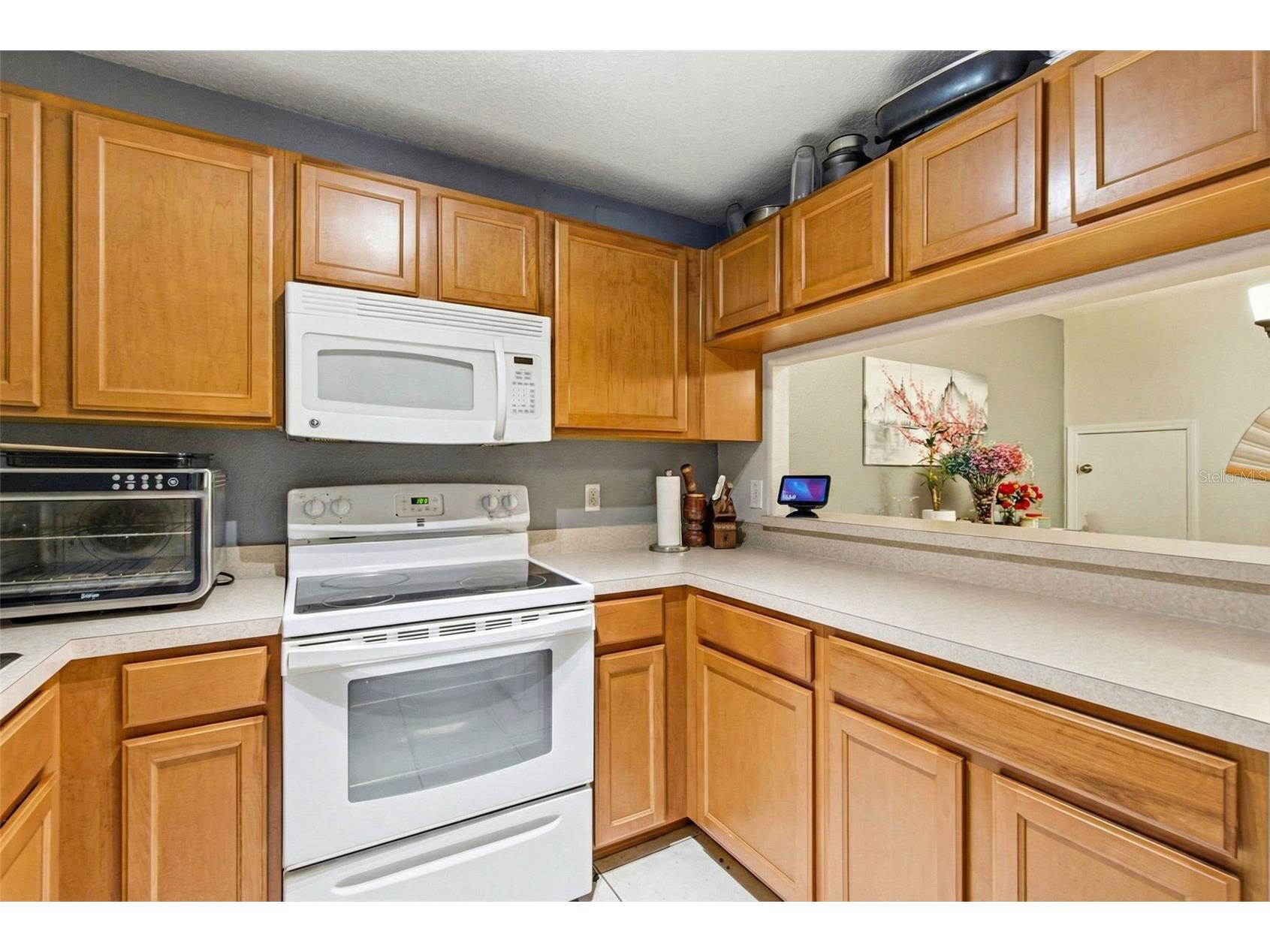 37548 Daliha Terrace Zephyrhills FL 33542 TB8467660 image46