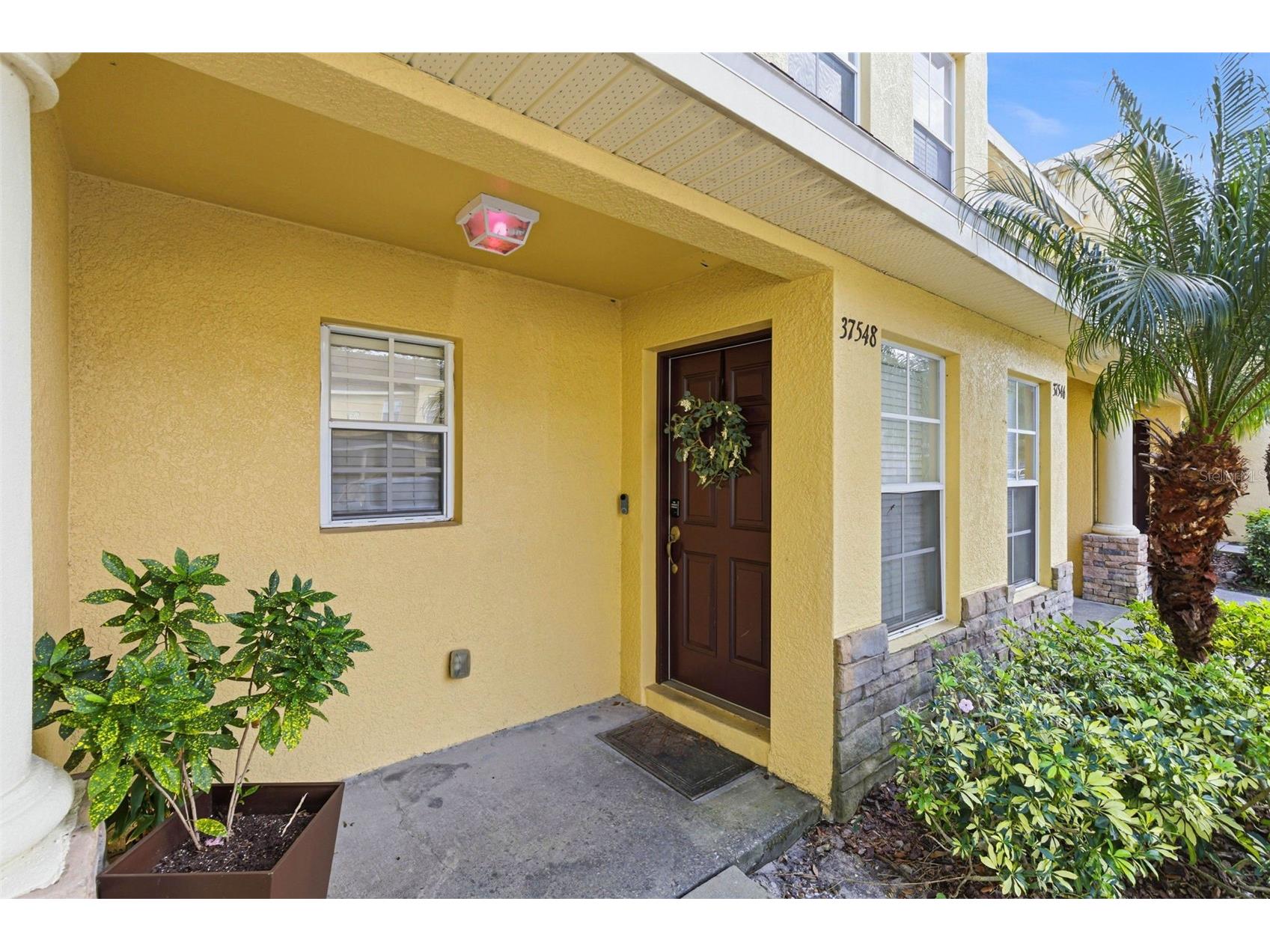 37548 Daliha Terrace Zephyrhills FL 33542 TB8467660 image51