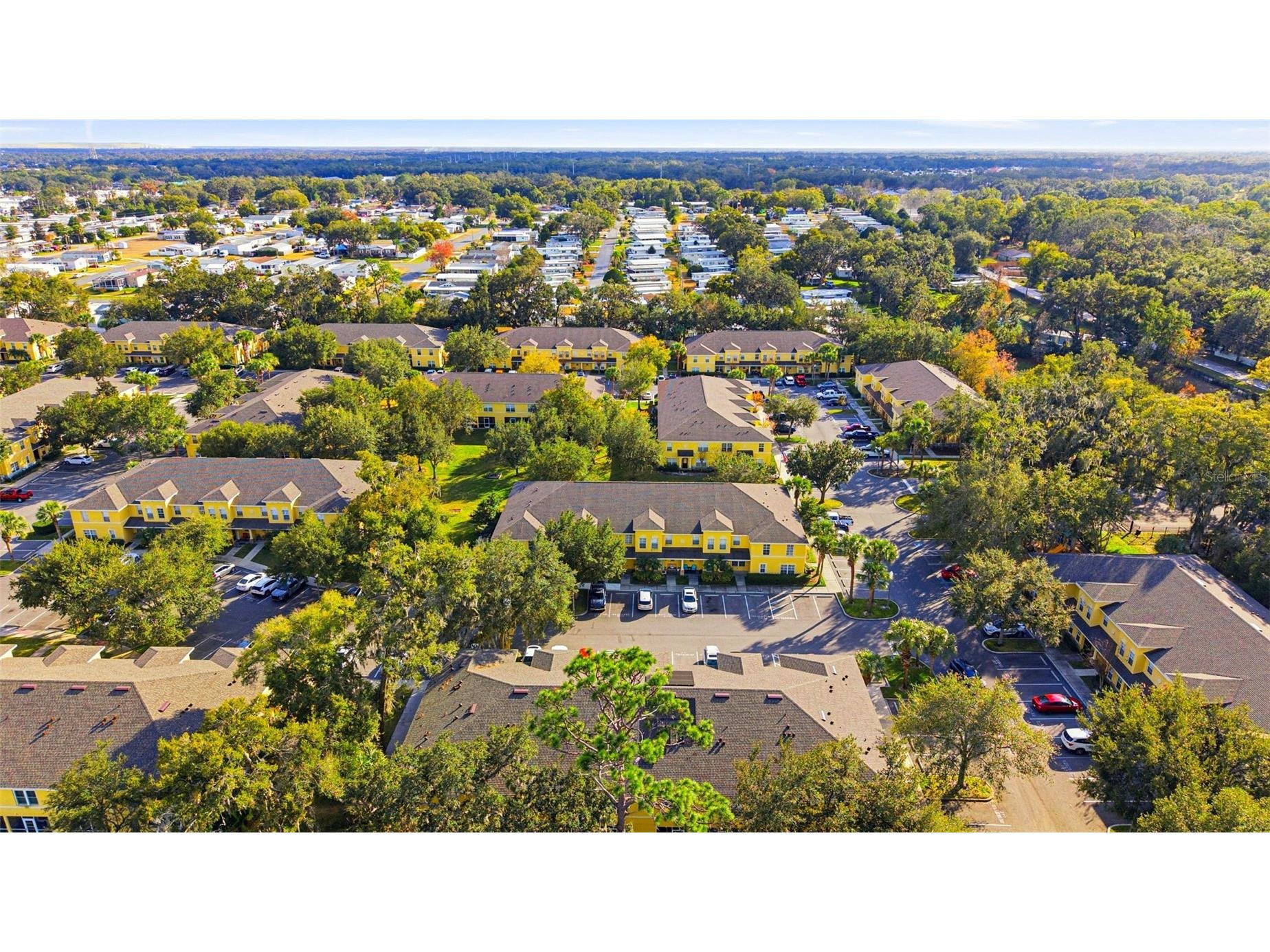 37548 Daliha Terrace Zephyrhills FL 33542 TB8467660 image9