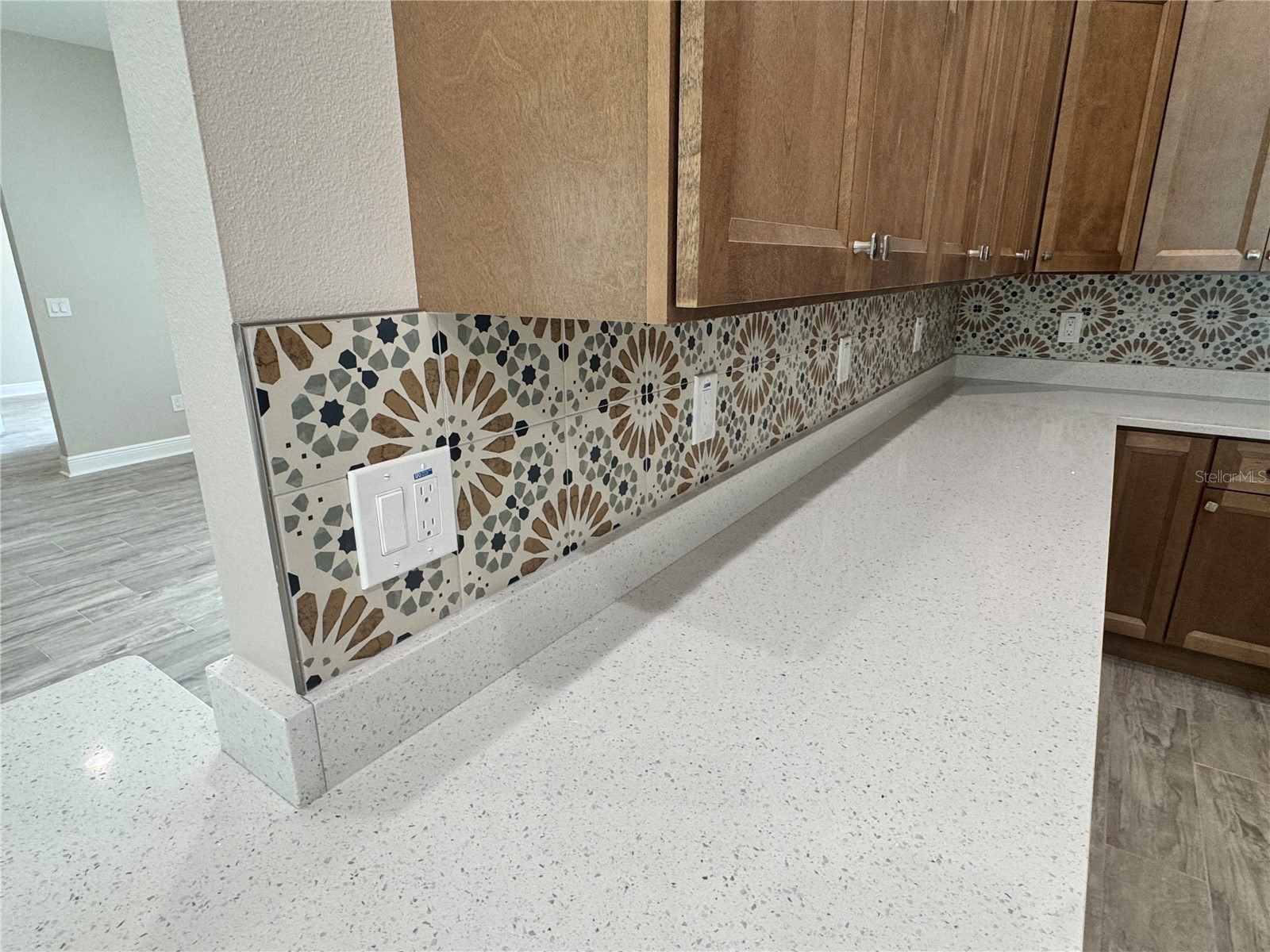 37549 Teri Court Dade City FL 33525 TB8485739 image22