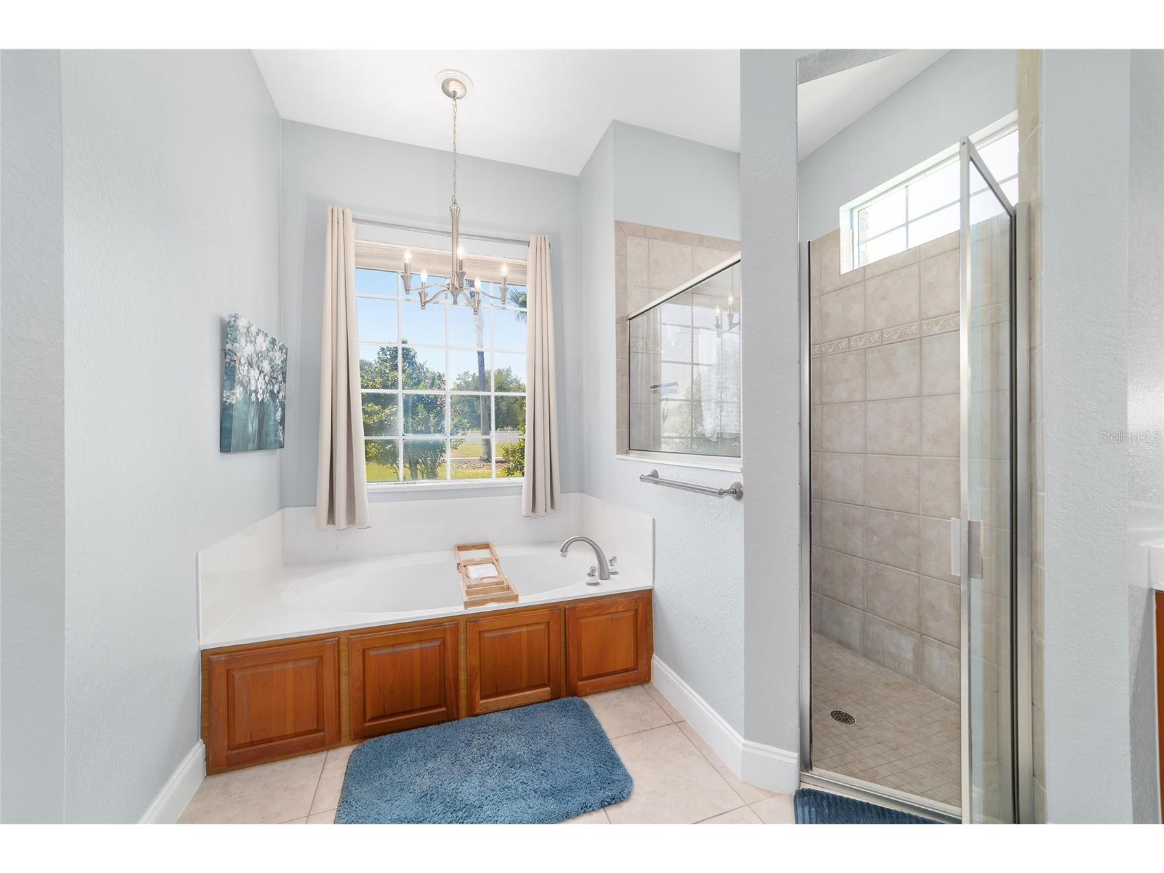 3755 SE 40th Street Ocala FL 34480 OM723741 image37