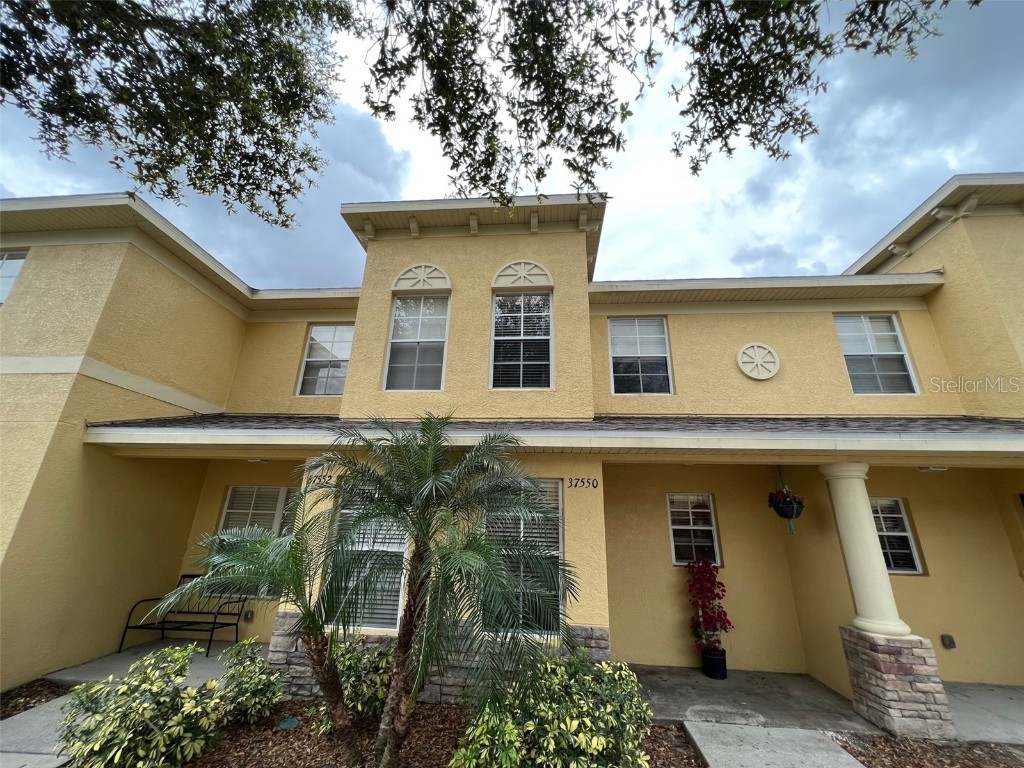 37550 Daliha Terrace Zephyrhills FL 33542 U8155664 image1