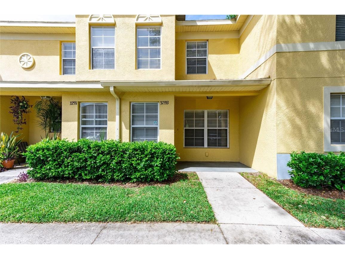 37553 Daliha Ter Zephyrhills FL 33542 T3516457 image1