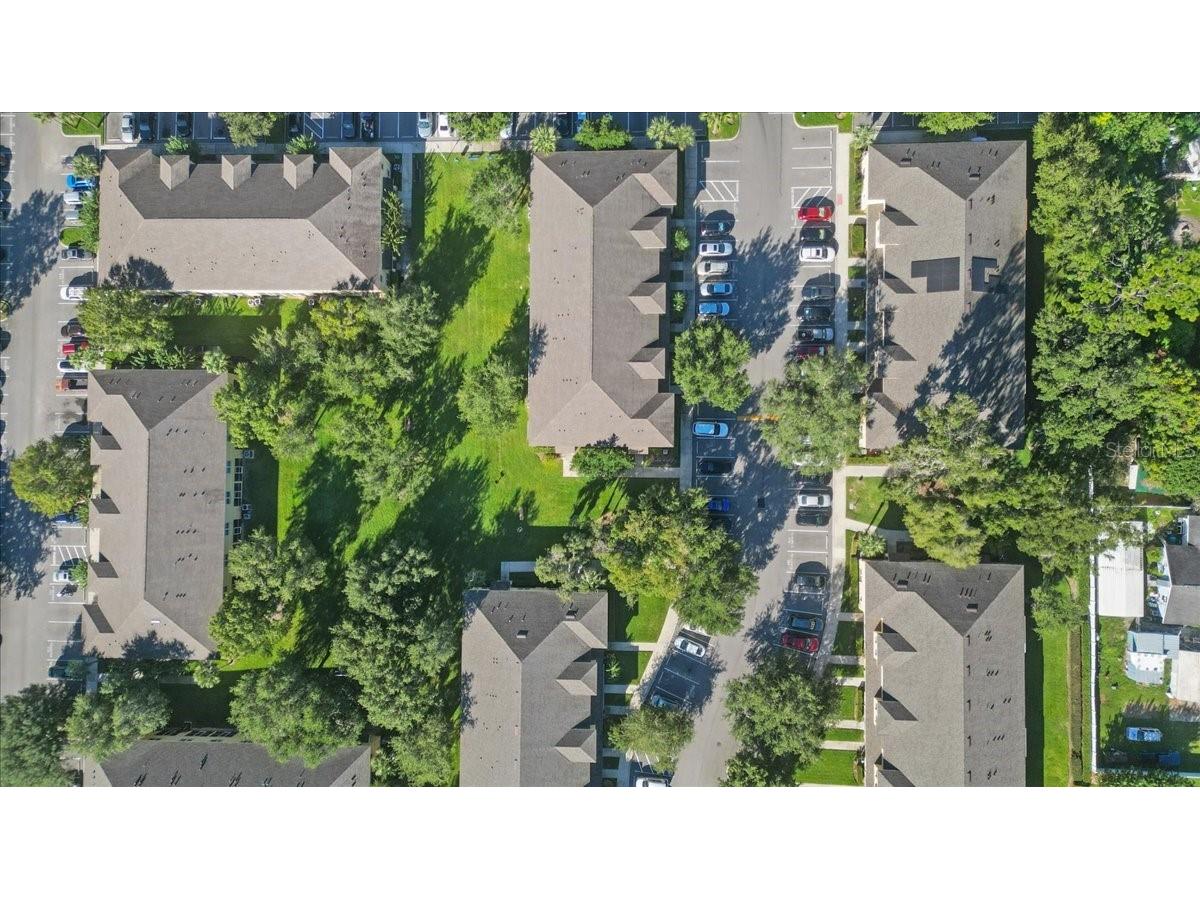 37554 Daliha Terrace Zephyrhills FL 33542 TB8439902 image34