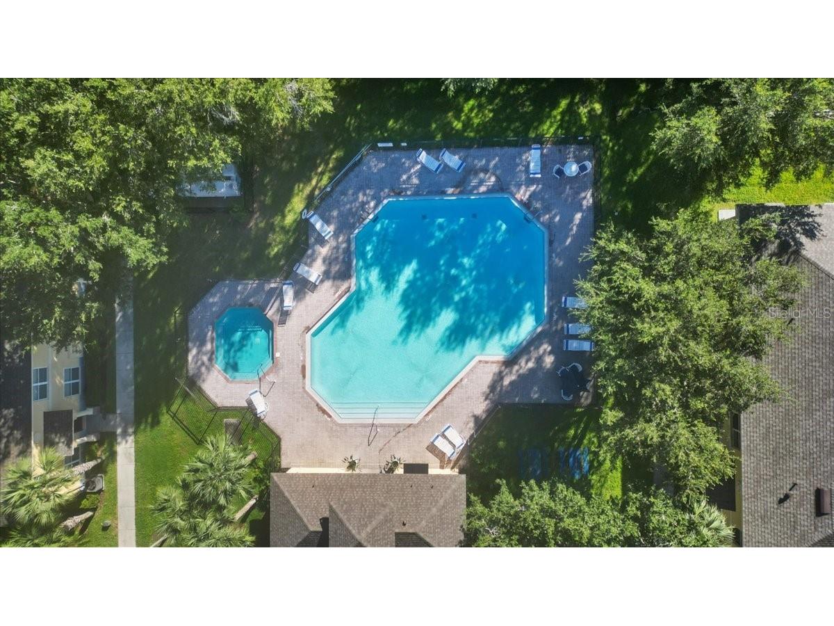 37554 Daliha Terrace Zephyrhills FL 33542 TB8439902 image35