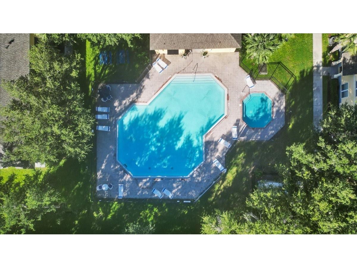 37554 Daliha Terrace Zephyrhills FL 33542 TB8439902 image36