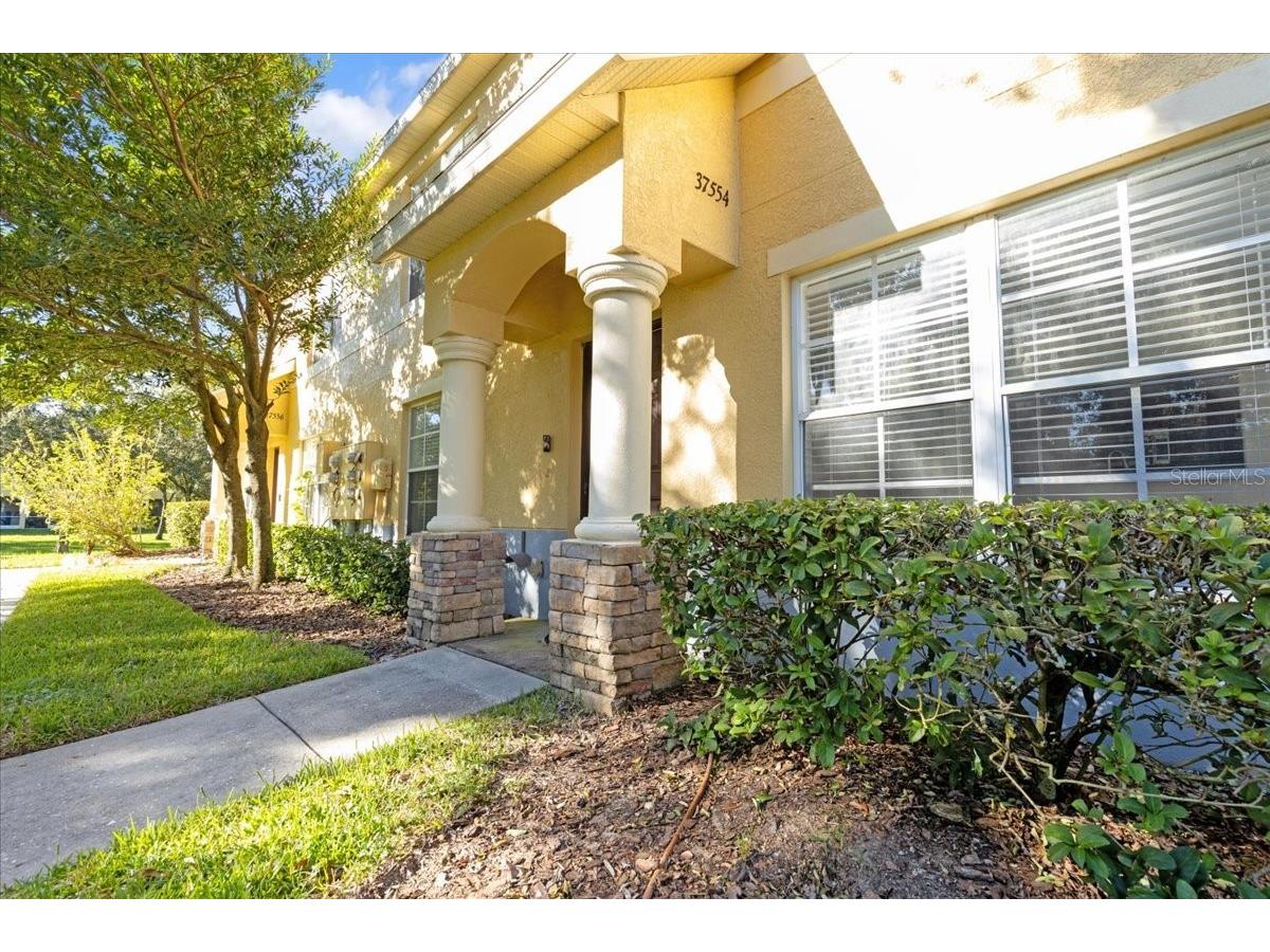 37554 Daliha Terrace Zephyrhills FL 33542 TB8522030 image1