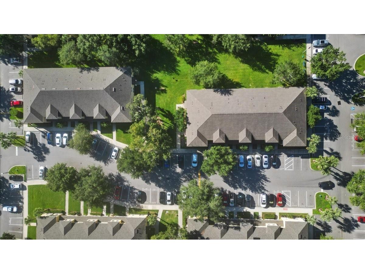 37554 Daliha Terrace Zephyrhills FL 33542 TB8522030 image10