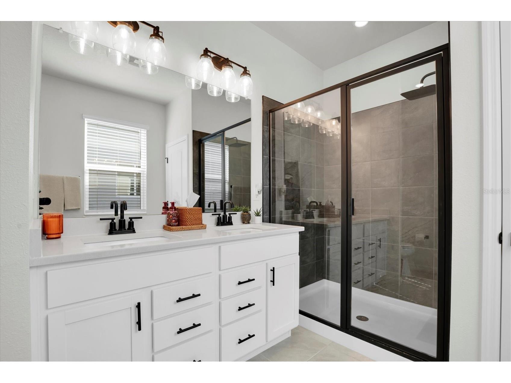 37557 Mackenzie Drive Zephyrhills FL 33540 W7882460 image16