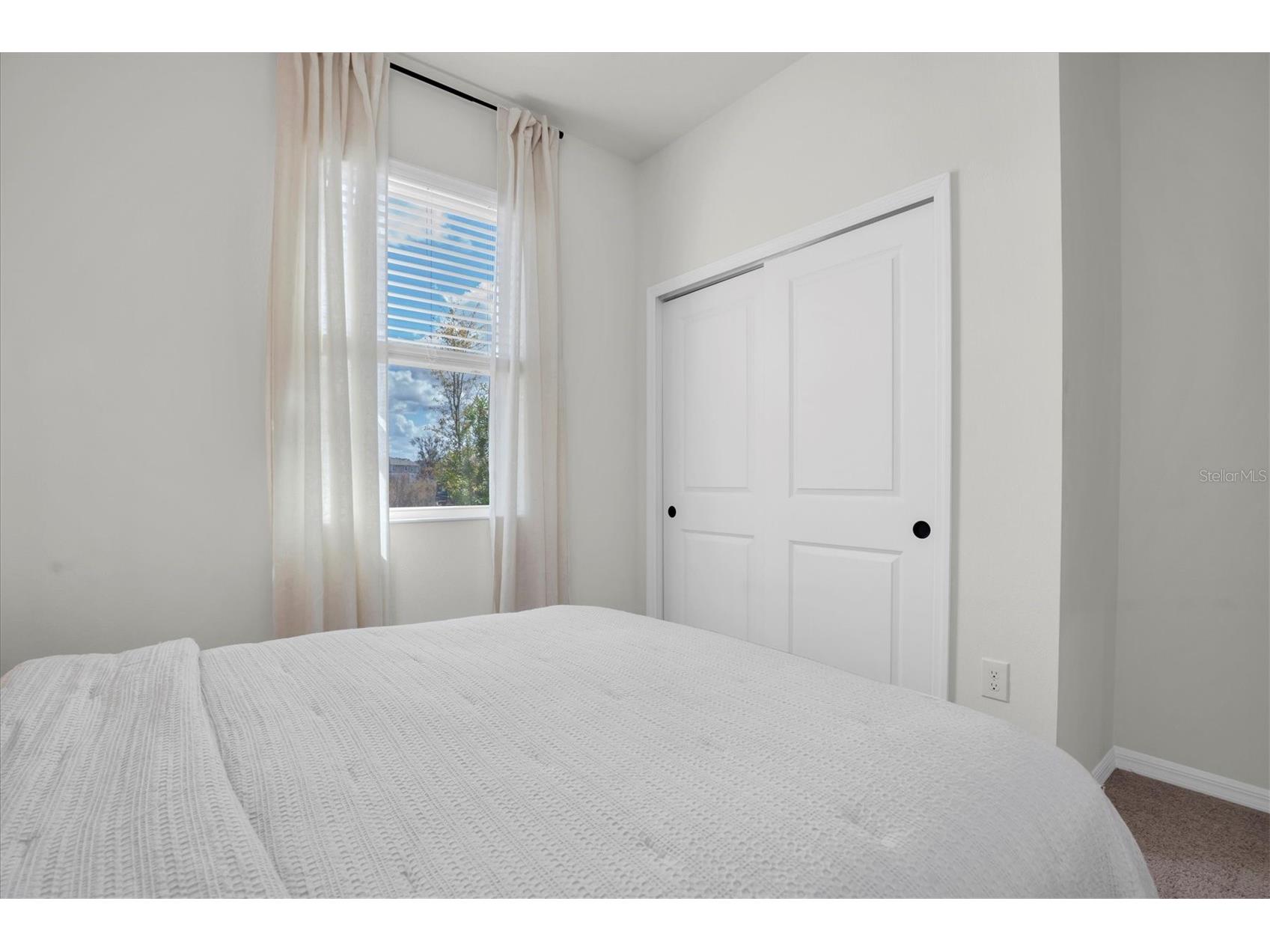 37557 Mackenzie Drive Zephyrhills FL 33540 W7882460 image18