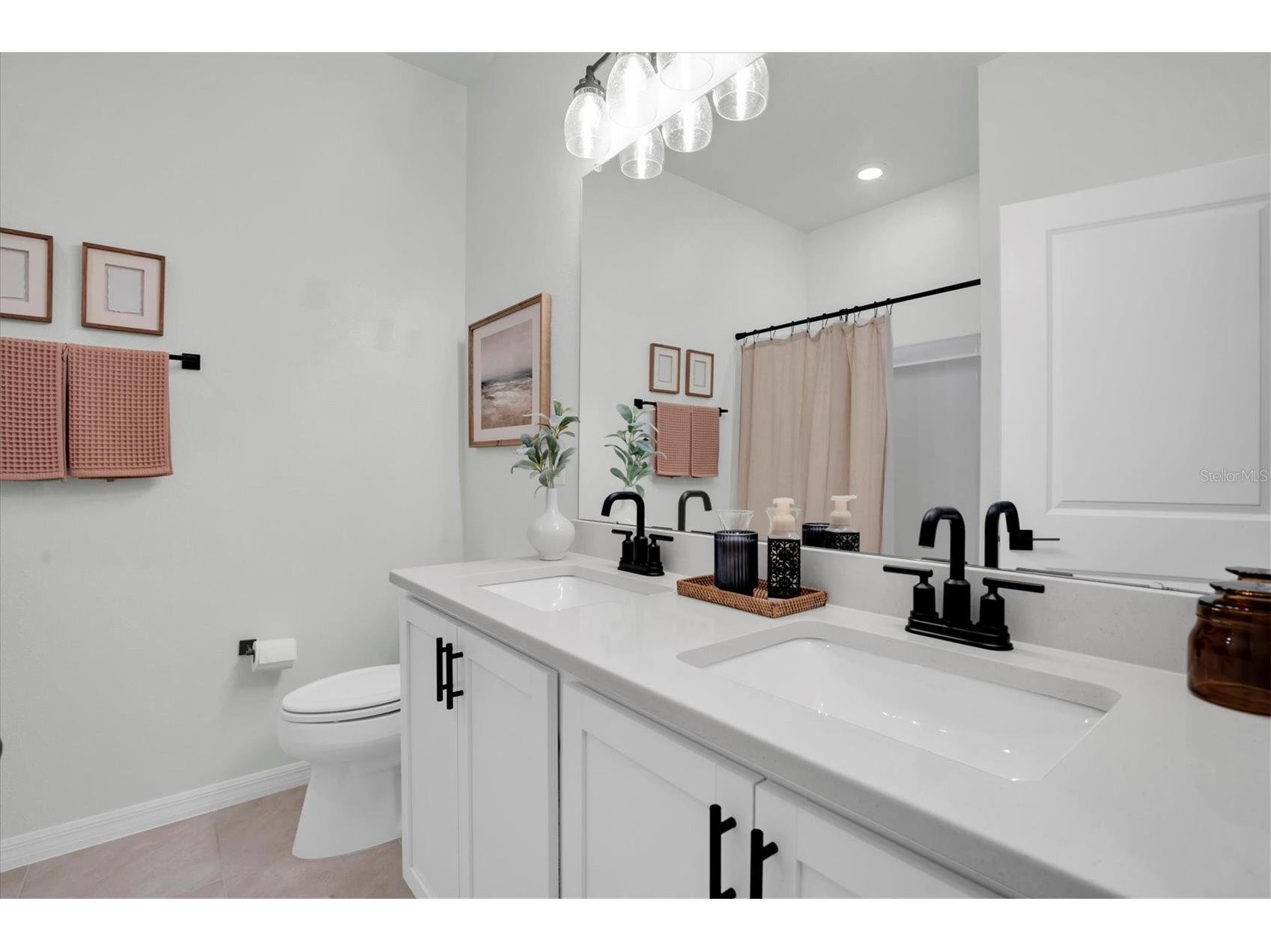 37557 Mackenzie Drive Zephyrhills FL 33540 W7882460 image19